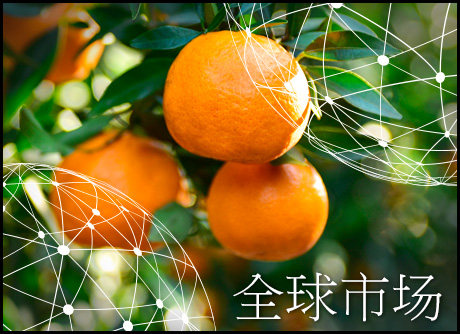 預覽