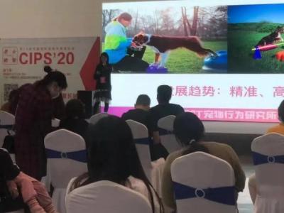 2020年西安宠物文化节