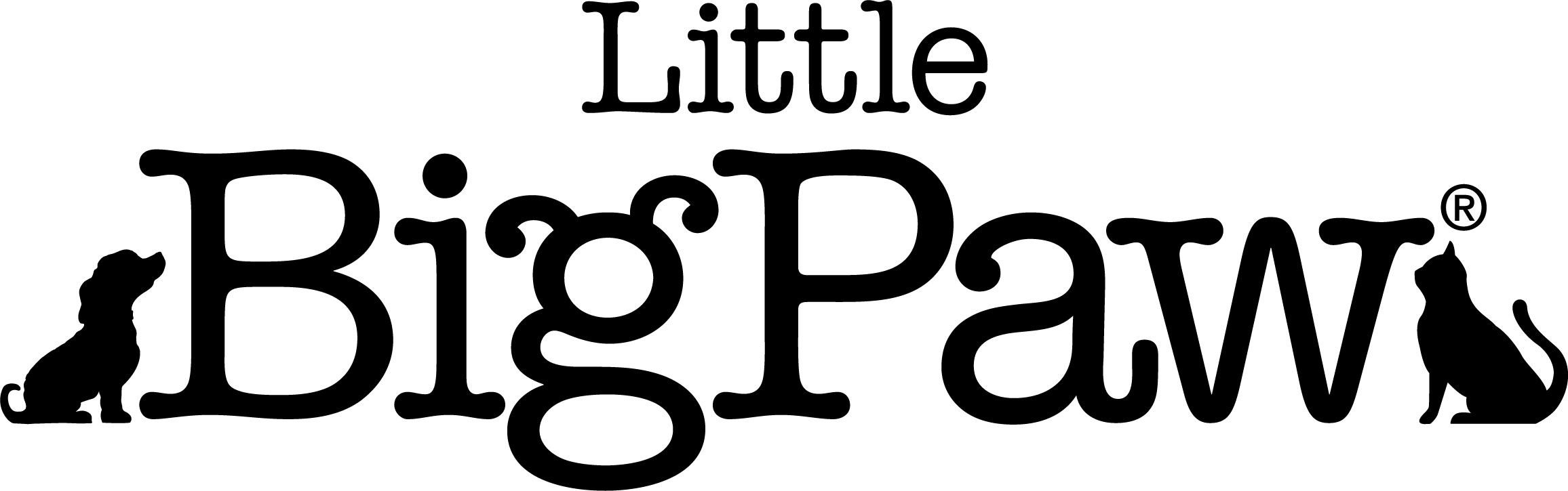 THE FIRST CLASS PET COMPANY LTD