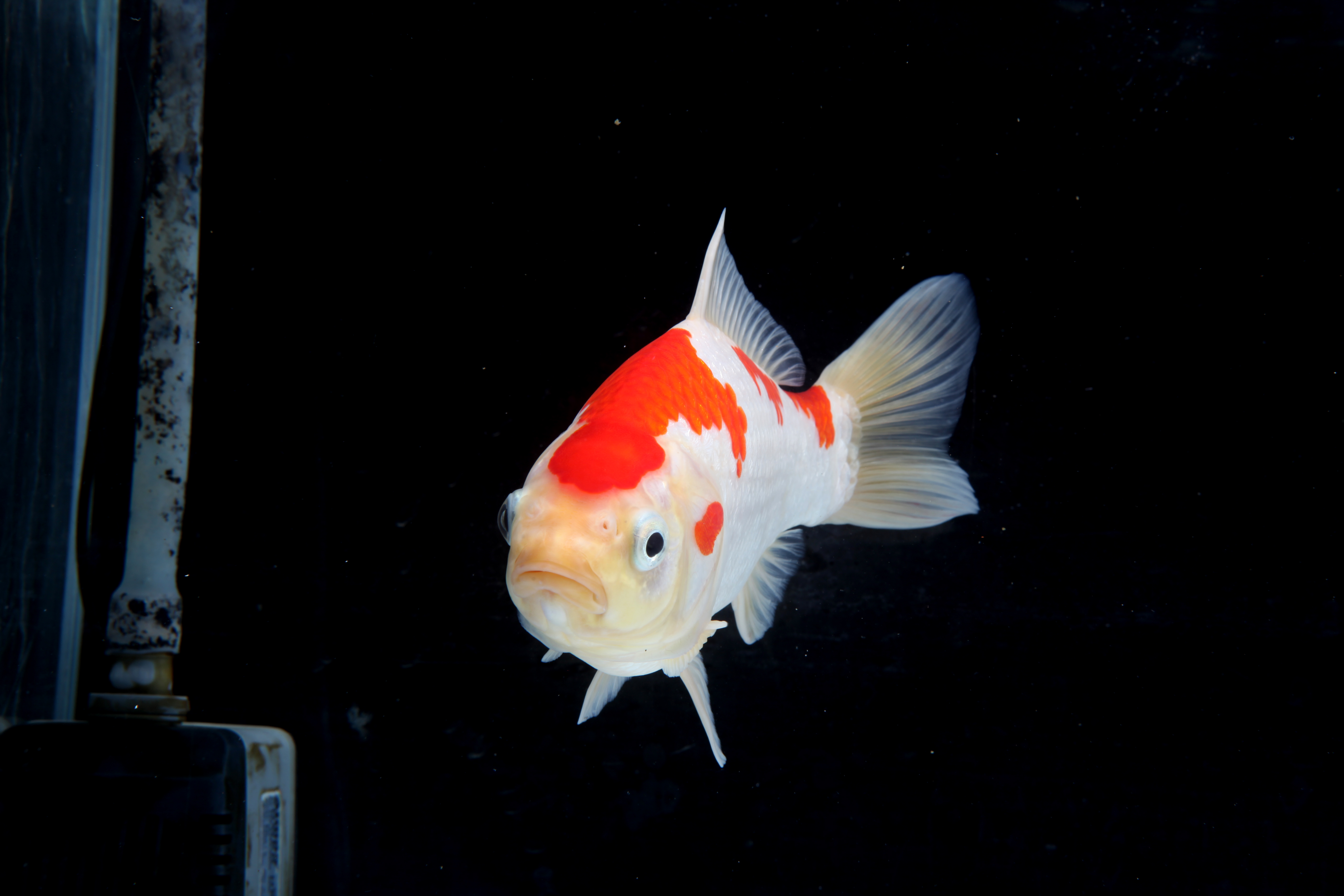 002