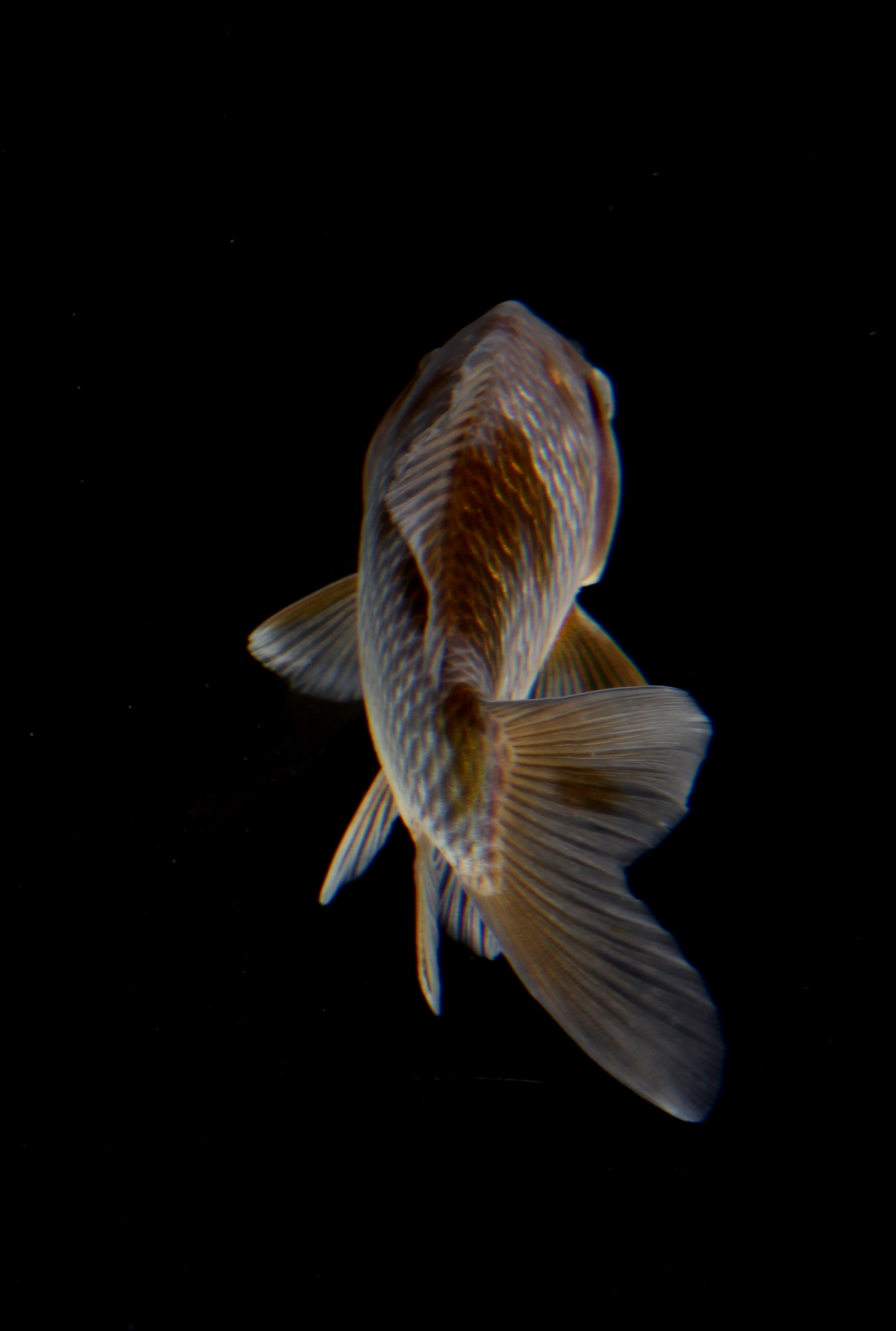 014
