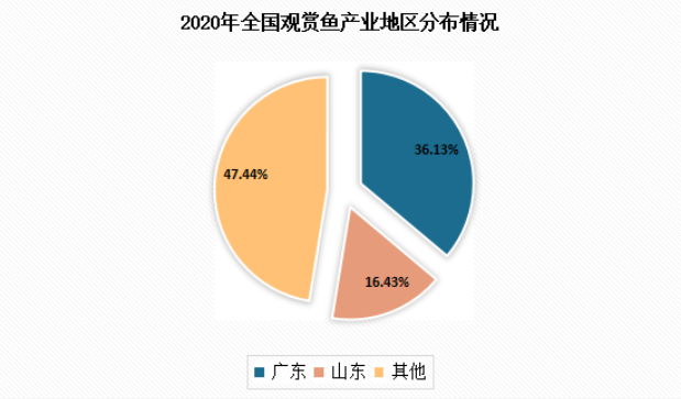 2.png 图片