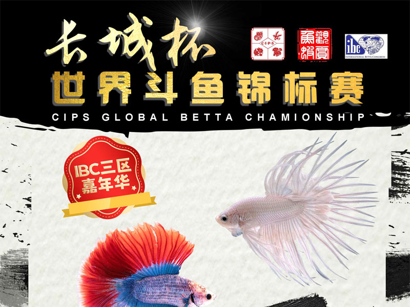 2023年“长城杯”小型观赏鱼虾锦标赛上海重燃战火！