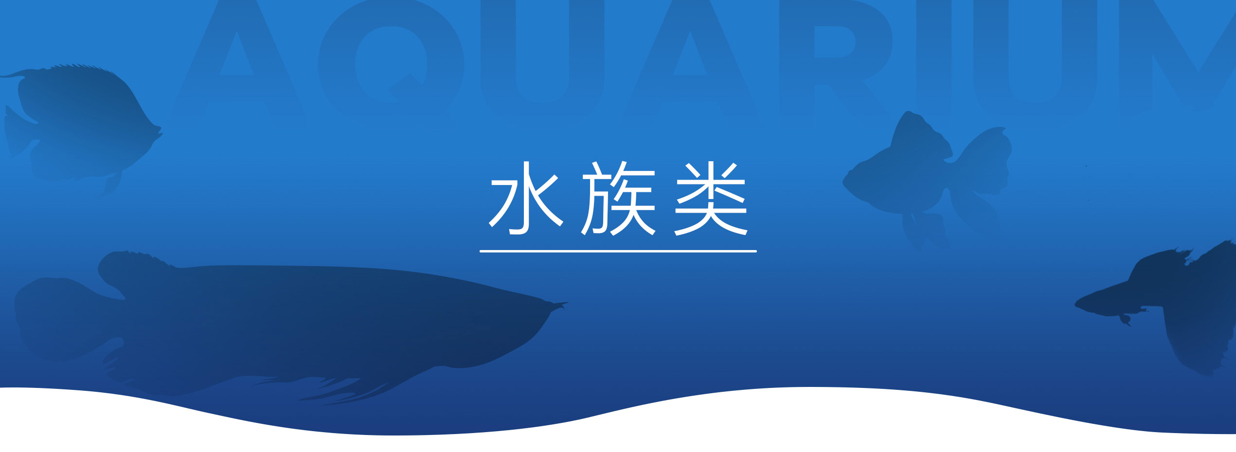 水族活动