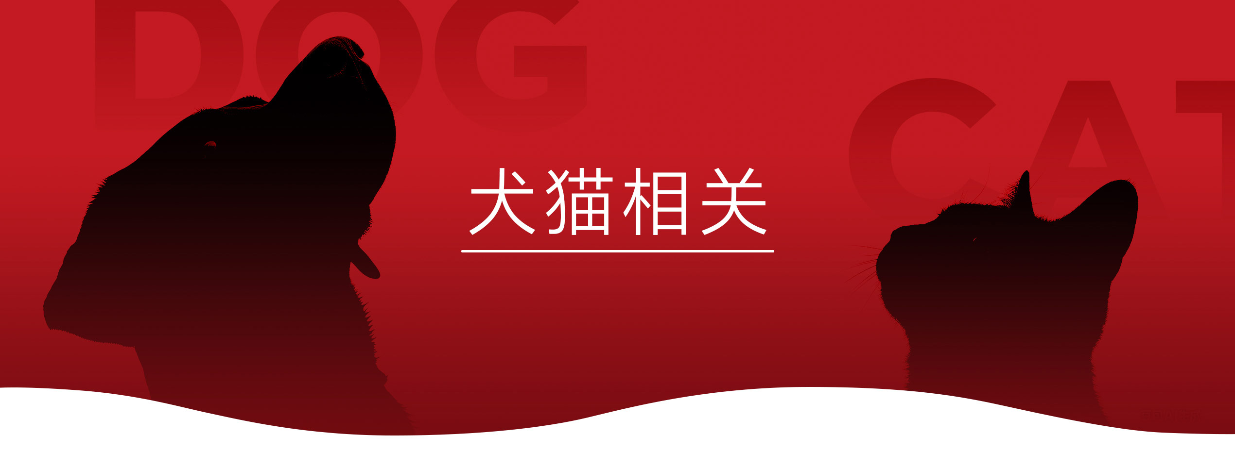 宠物活动