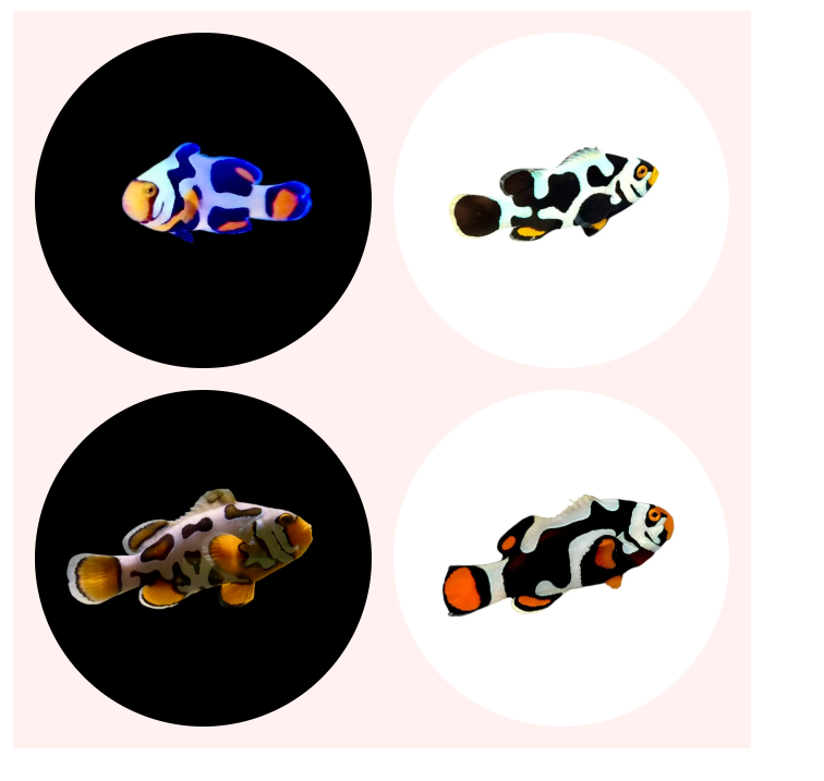 image.png image.png