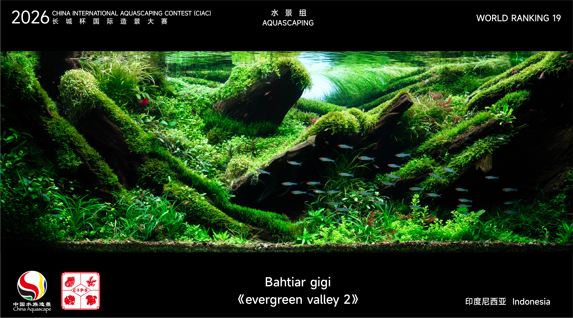 水草组-19.jpg