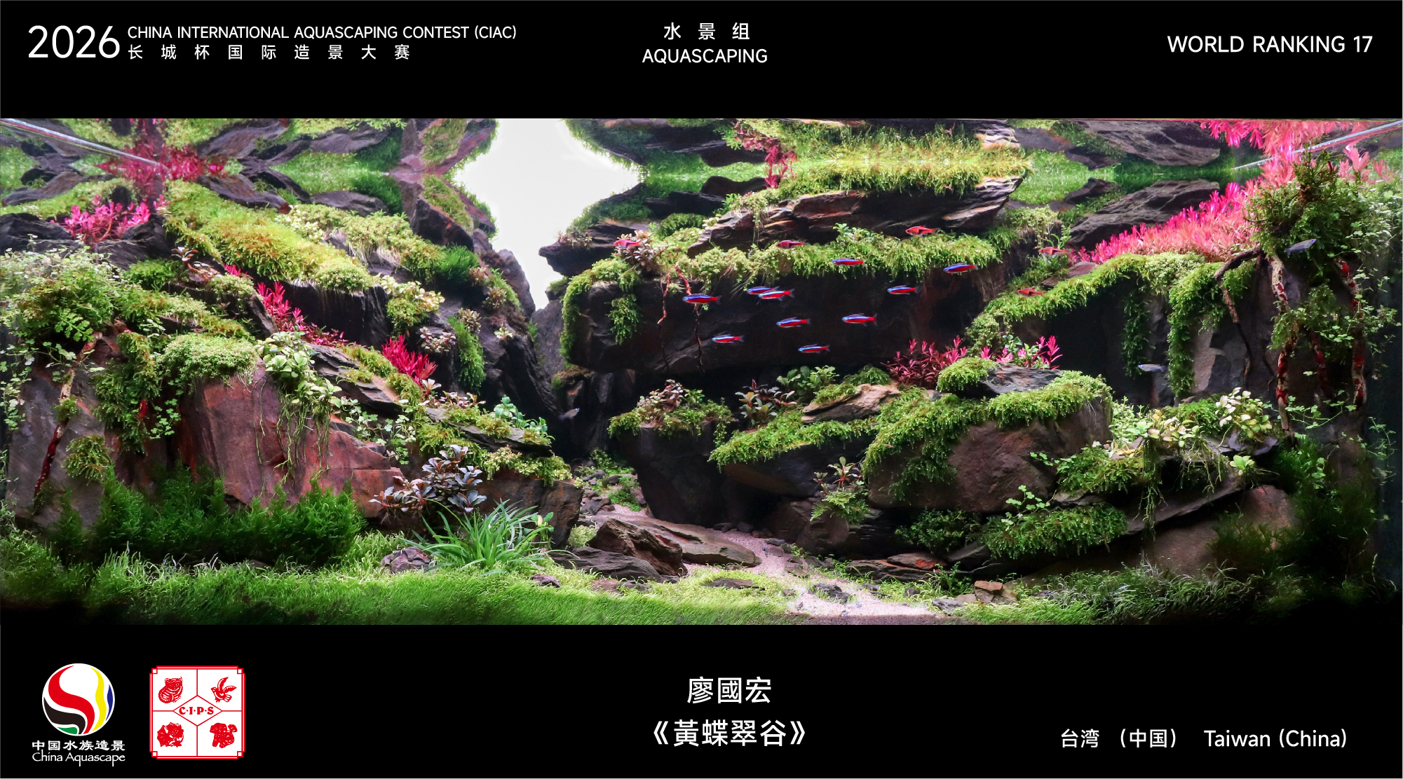 水草组-17.jpg