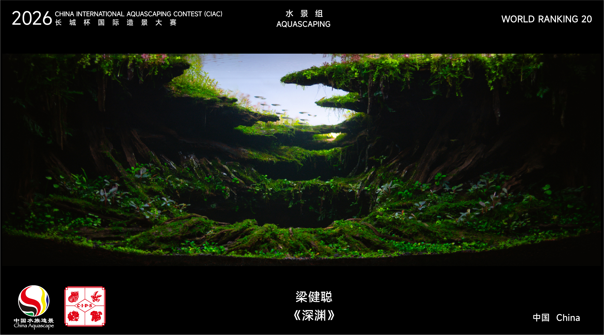 水草组-20.jpg