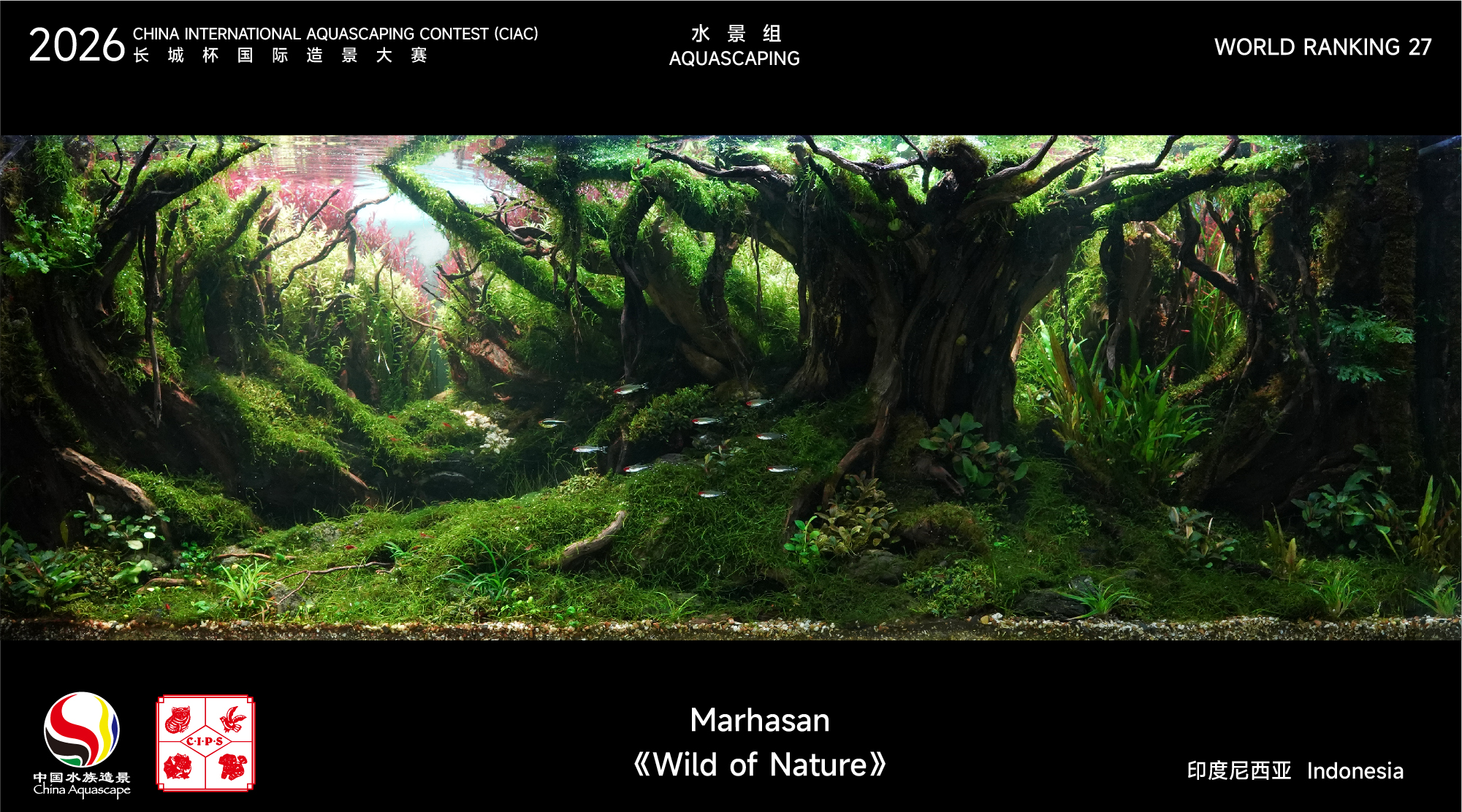 水草组-27.jpg