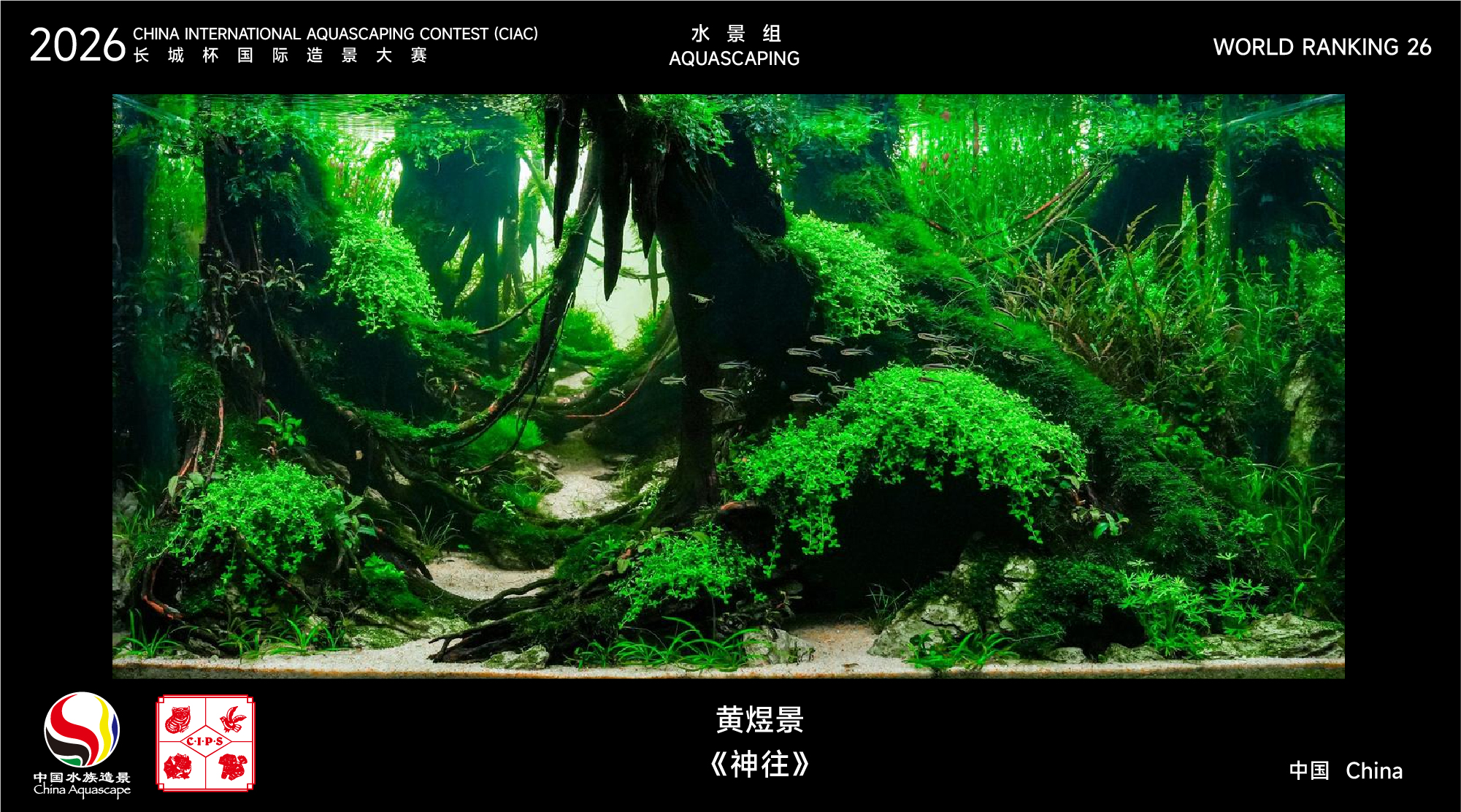 水草组-26.jpg
