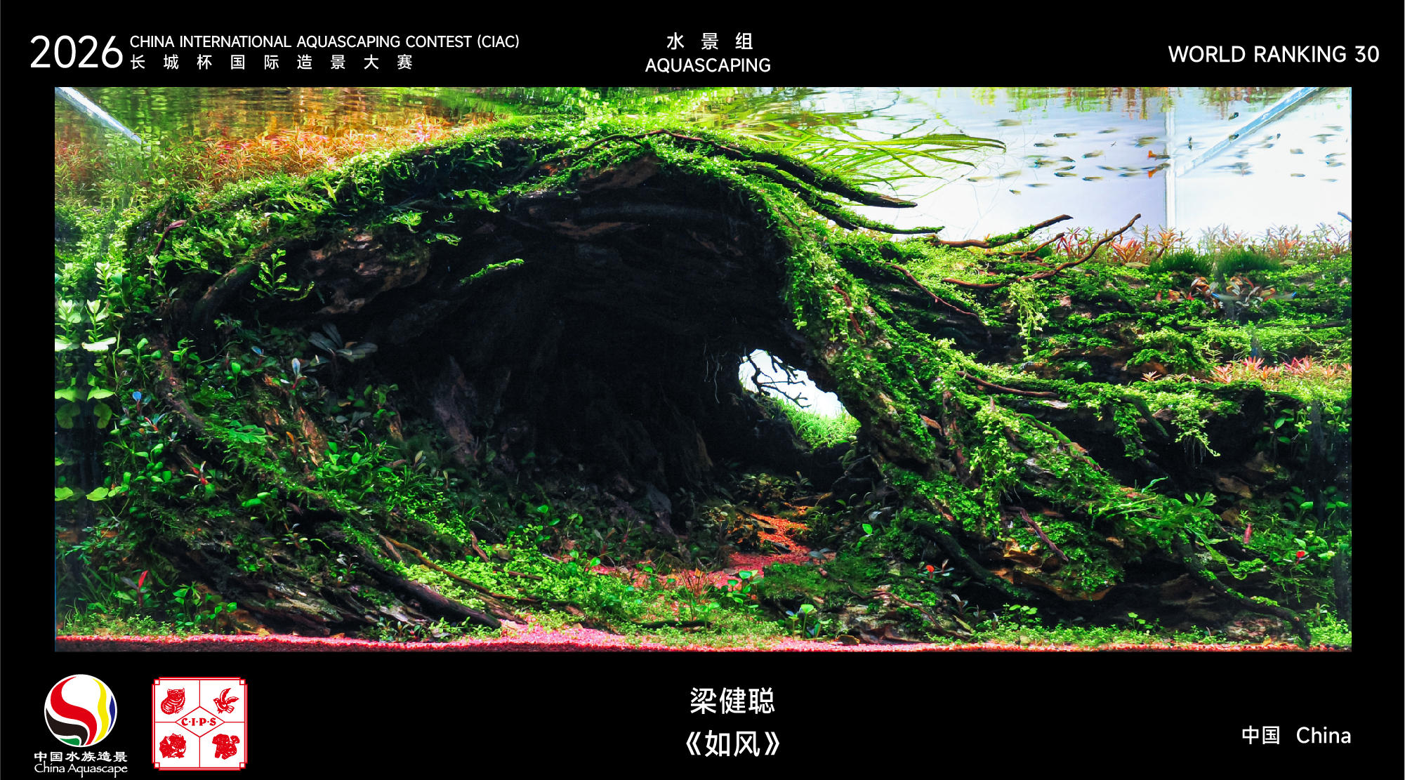水草组-30.jpg