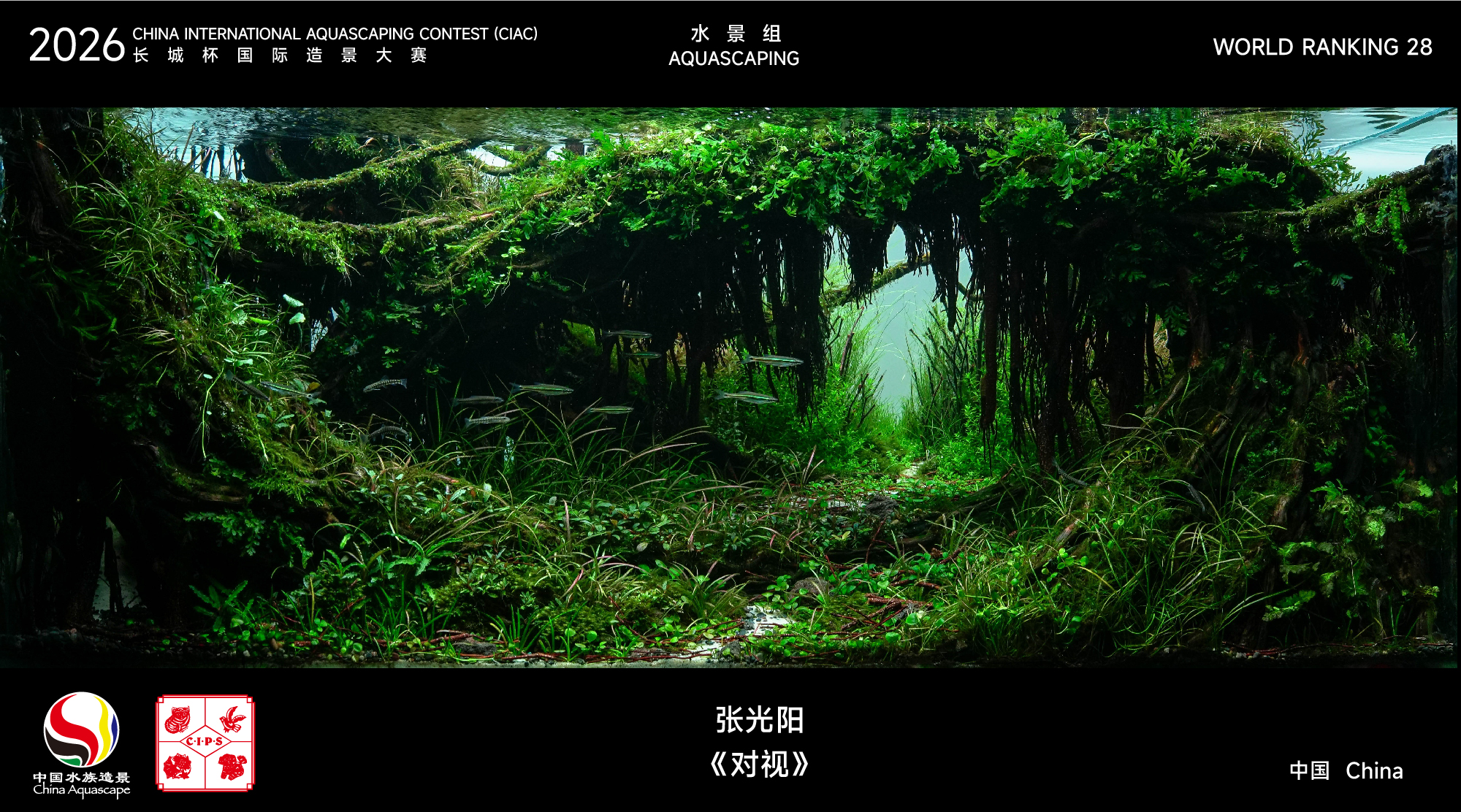 水草组-28.jpg