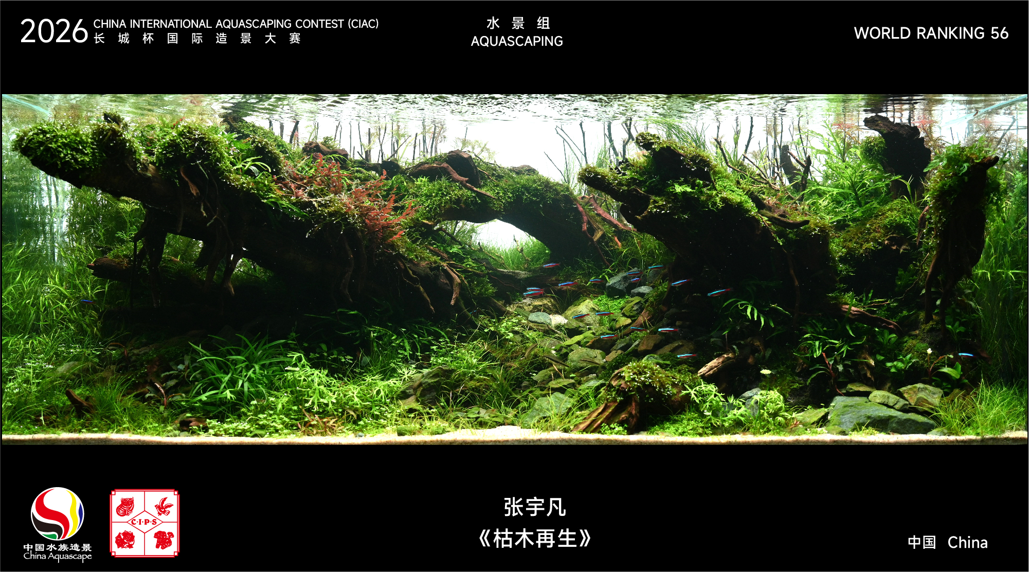 造景名次_31-70-26.jpg