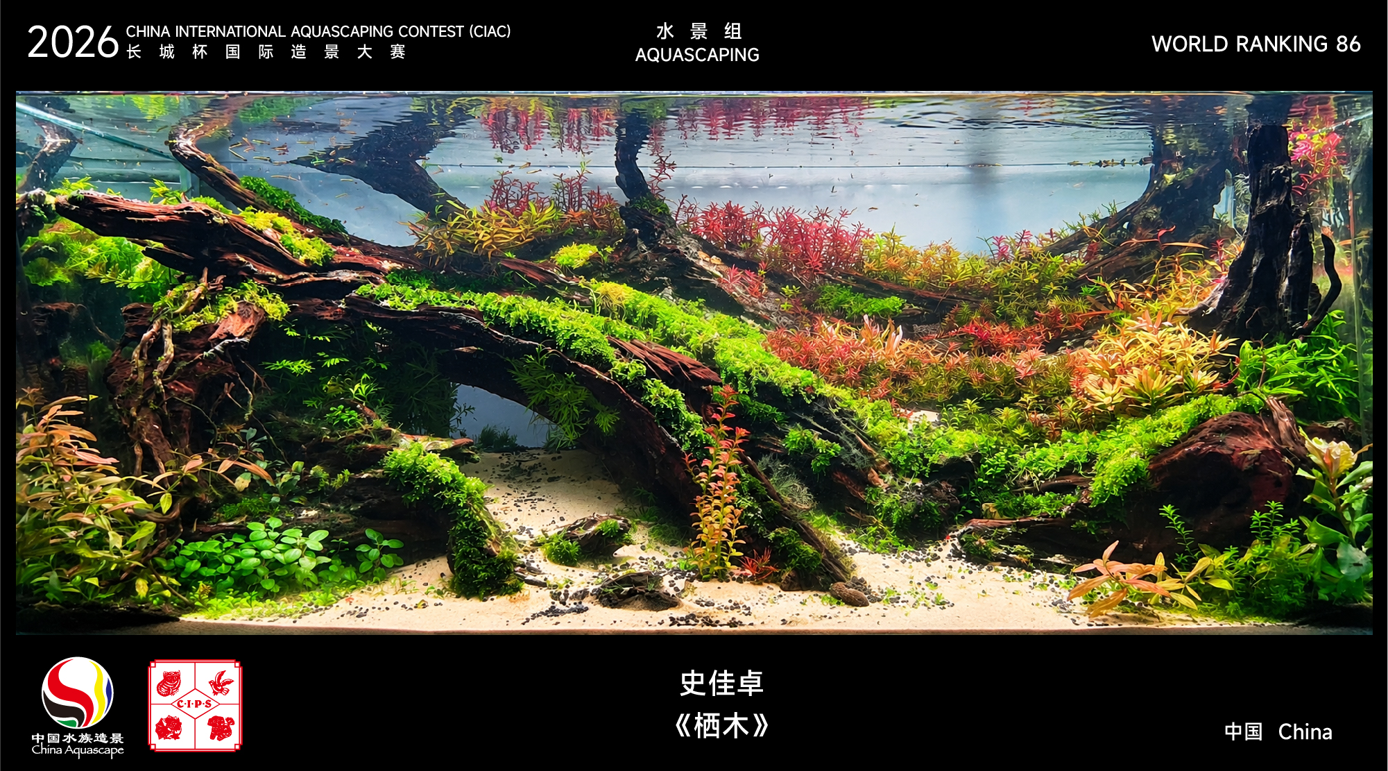 造景名次71-100-16.jpg