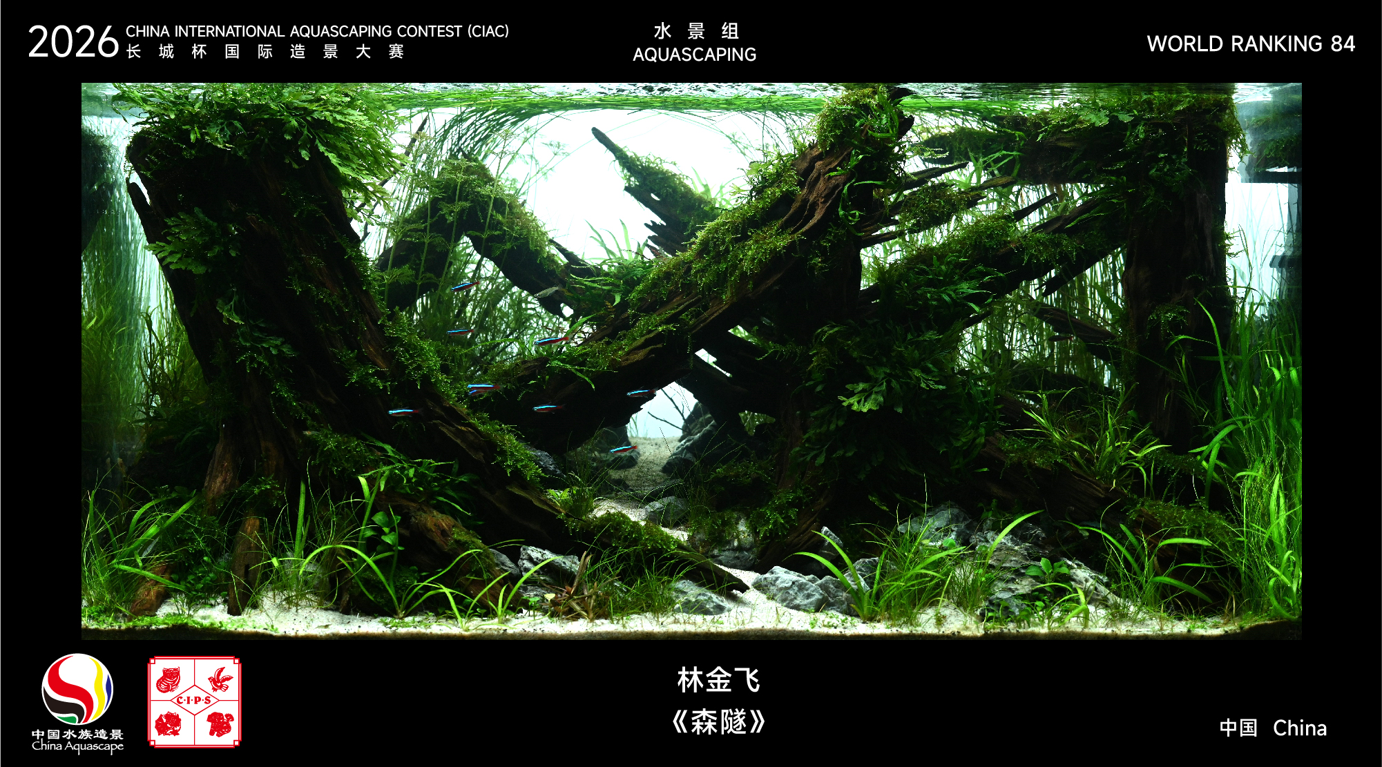 造景名次71-100-14.jpg