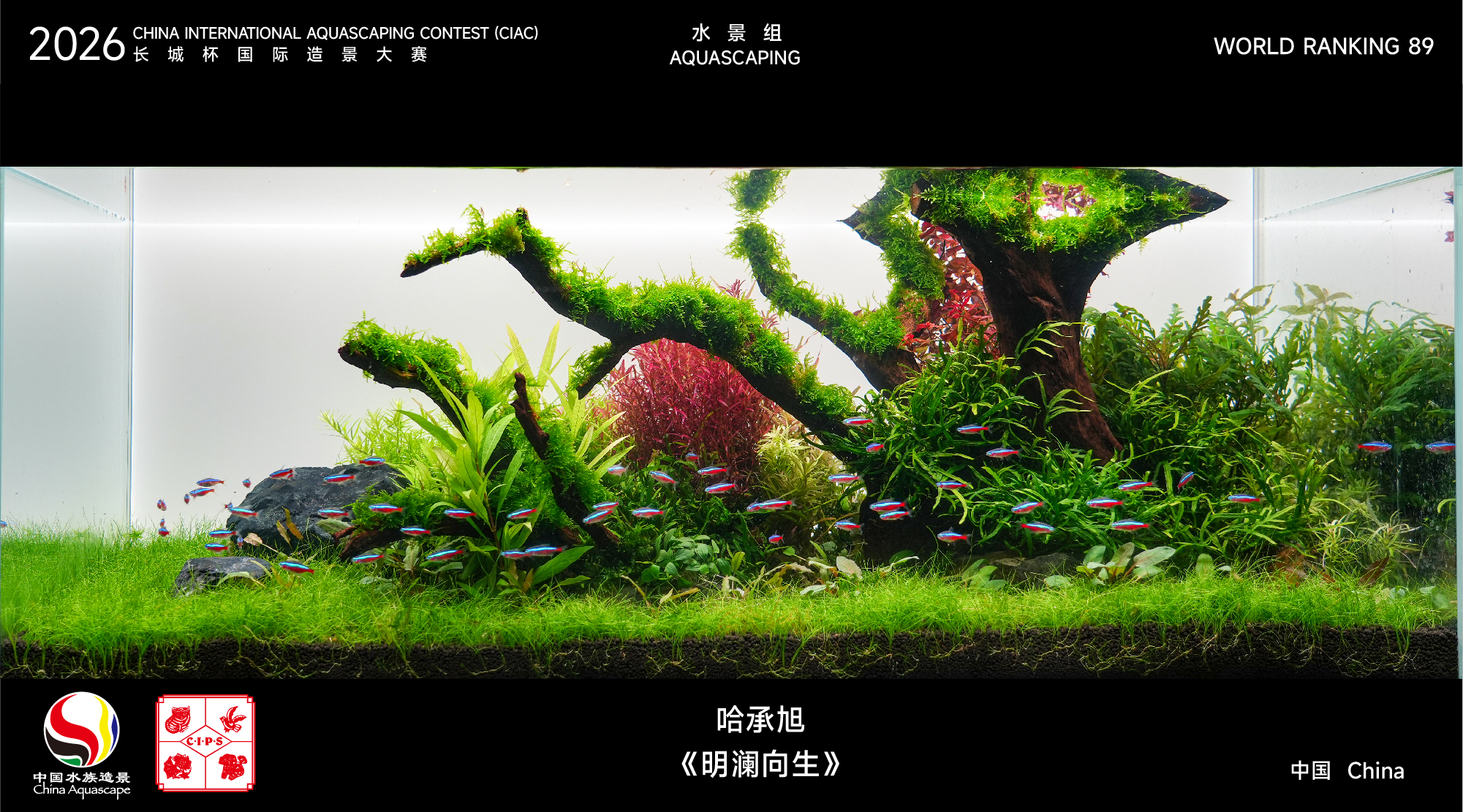 造景名次71-100-19.jpg