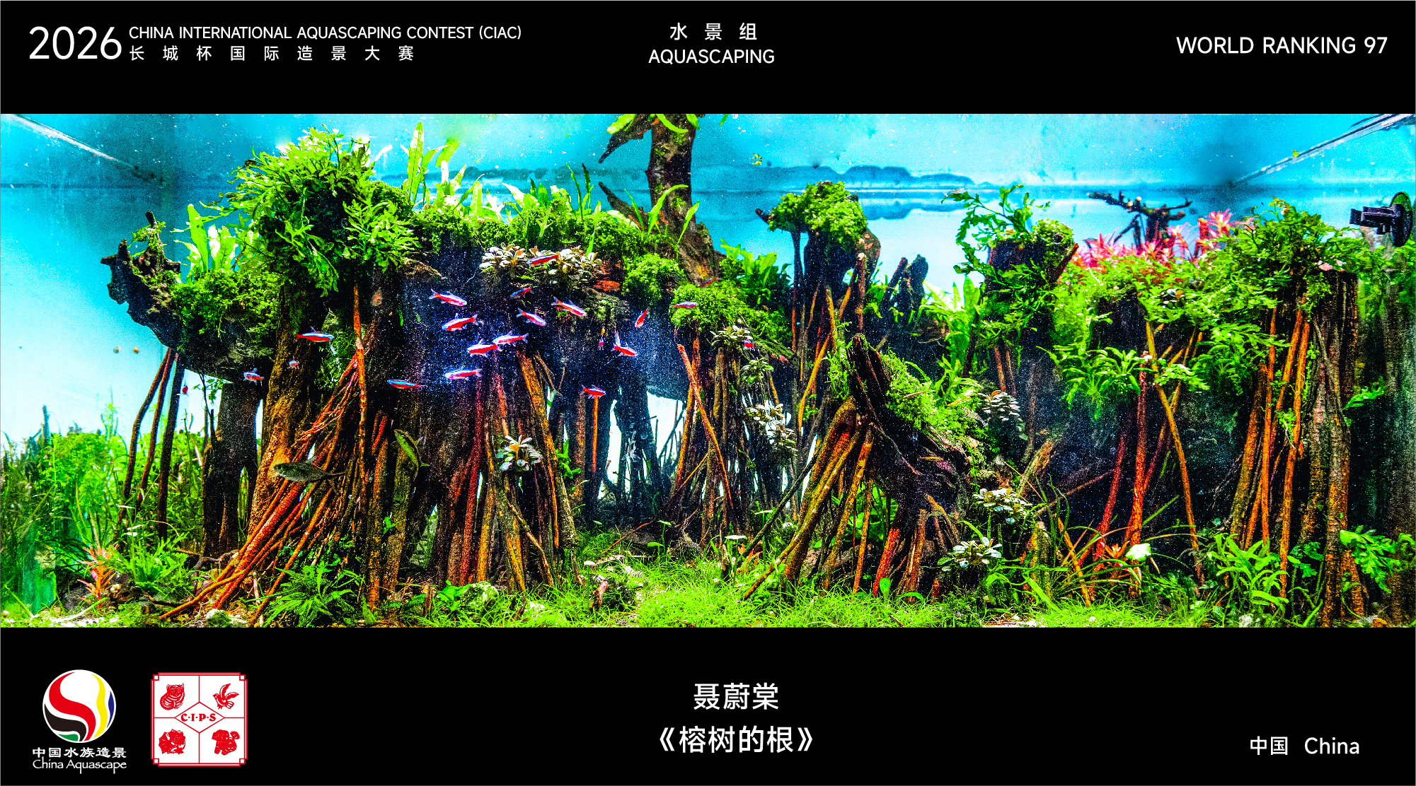 造景名次71-100-27.jpg
