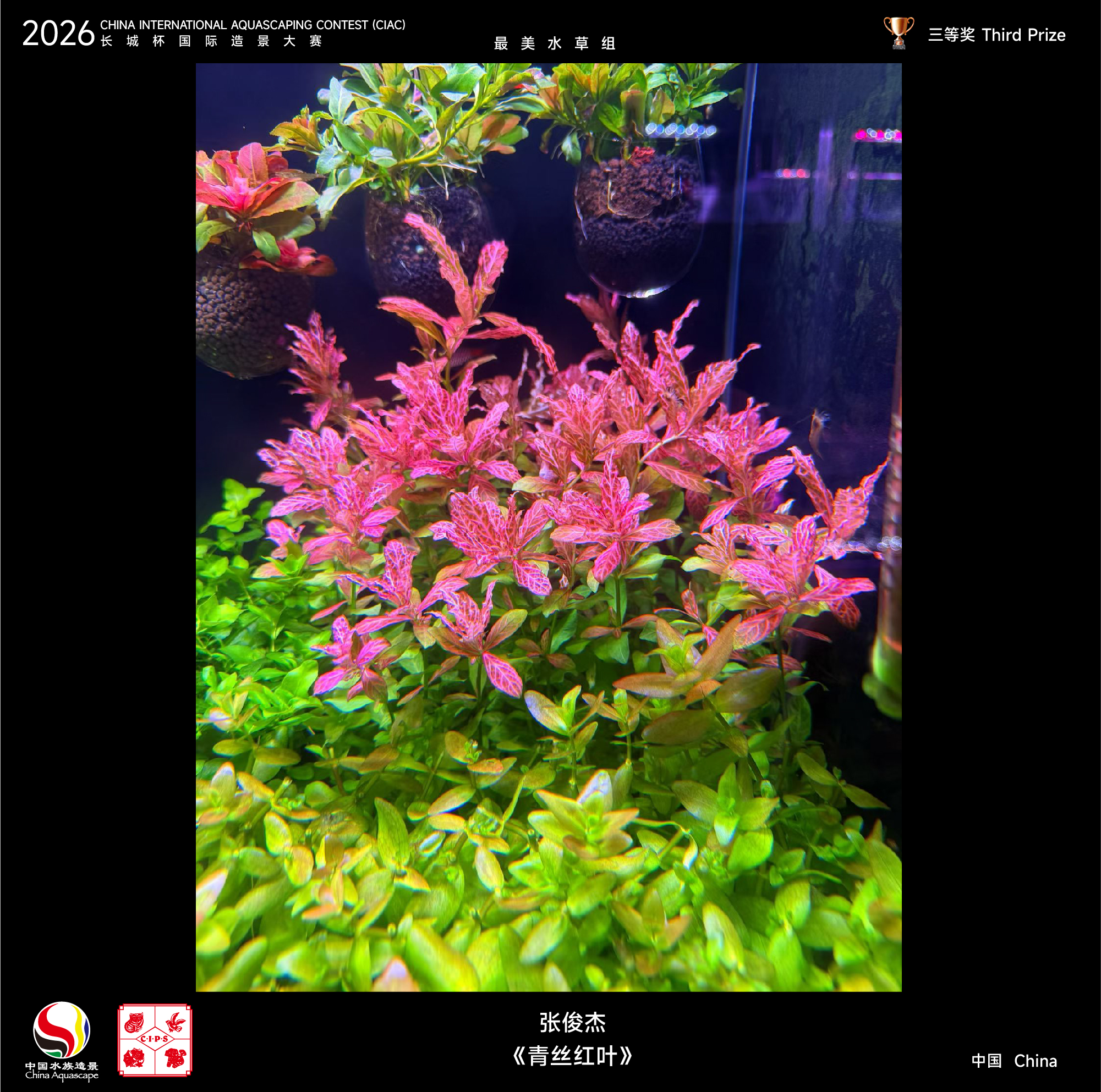 最美水草-03.jpg