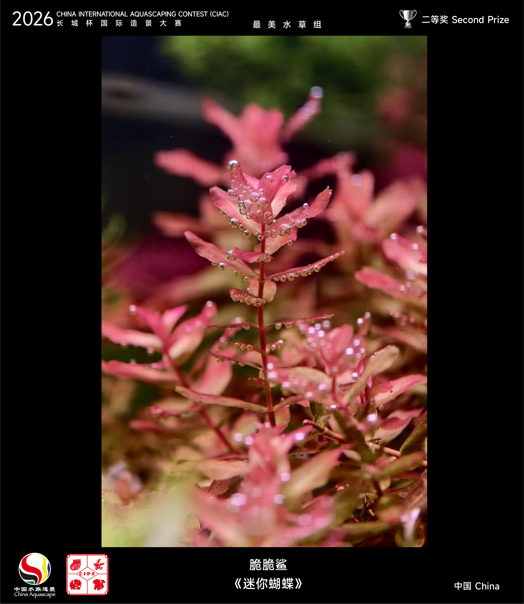 最美水草-04.jpg