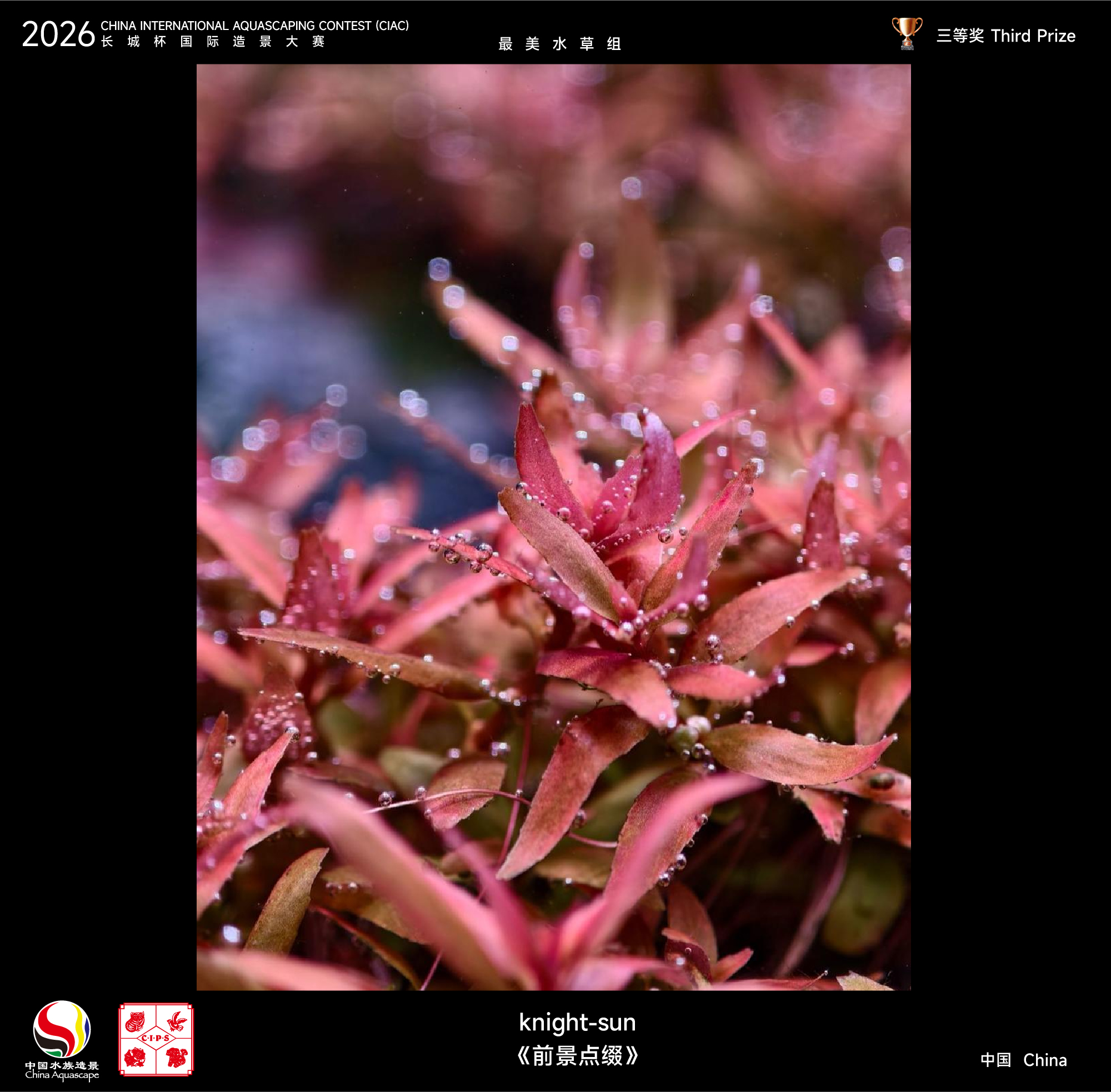 最美水草-07.jpg