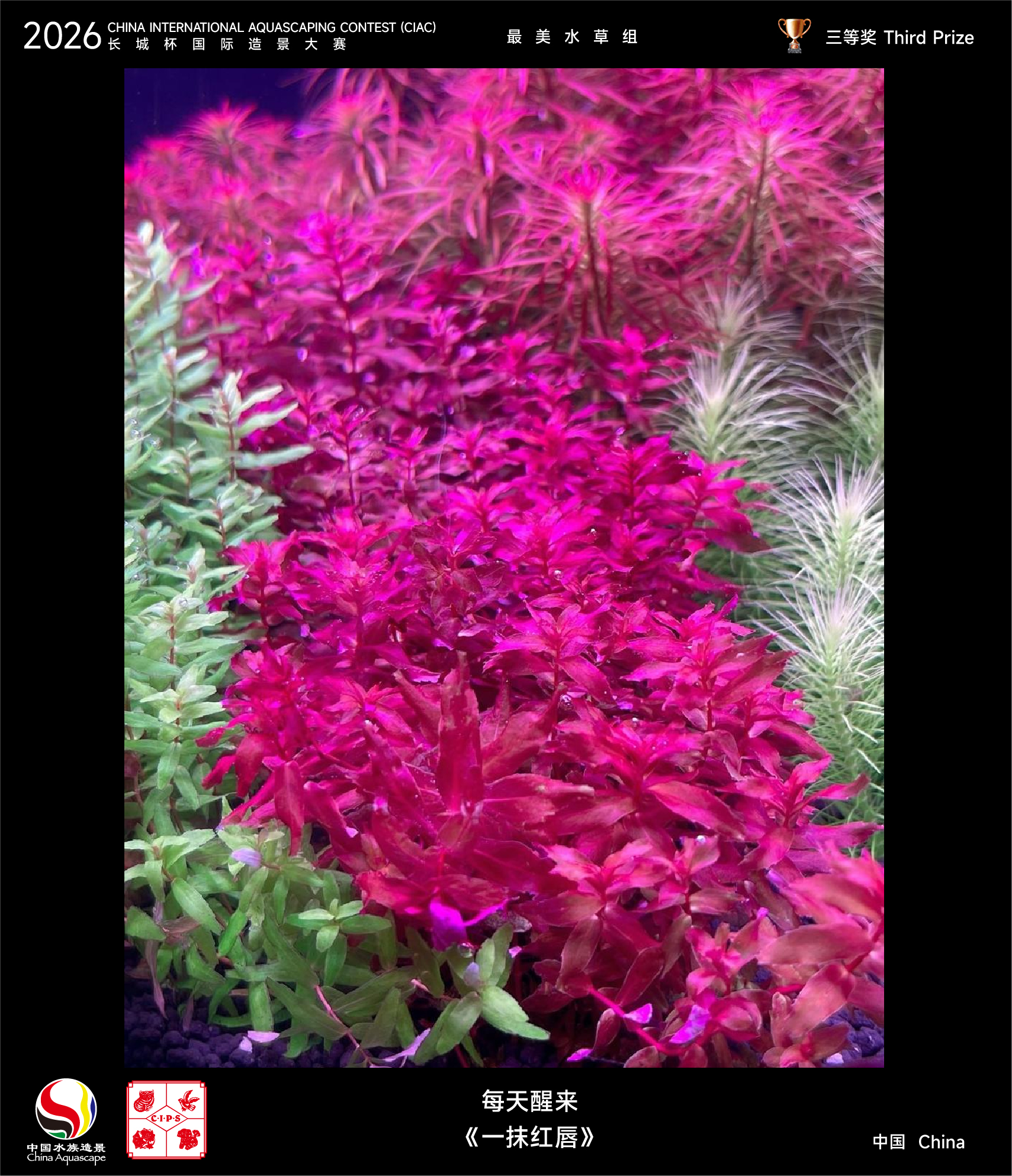 最美水草-09.jpg