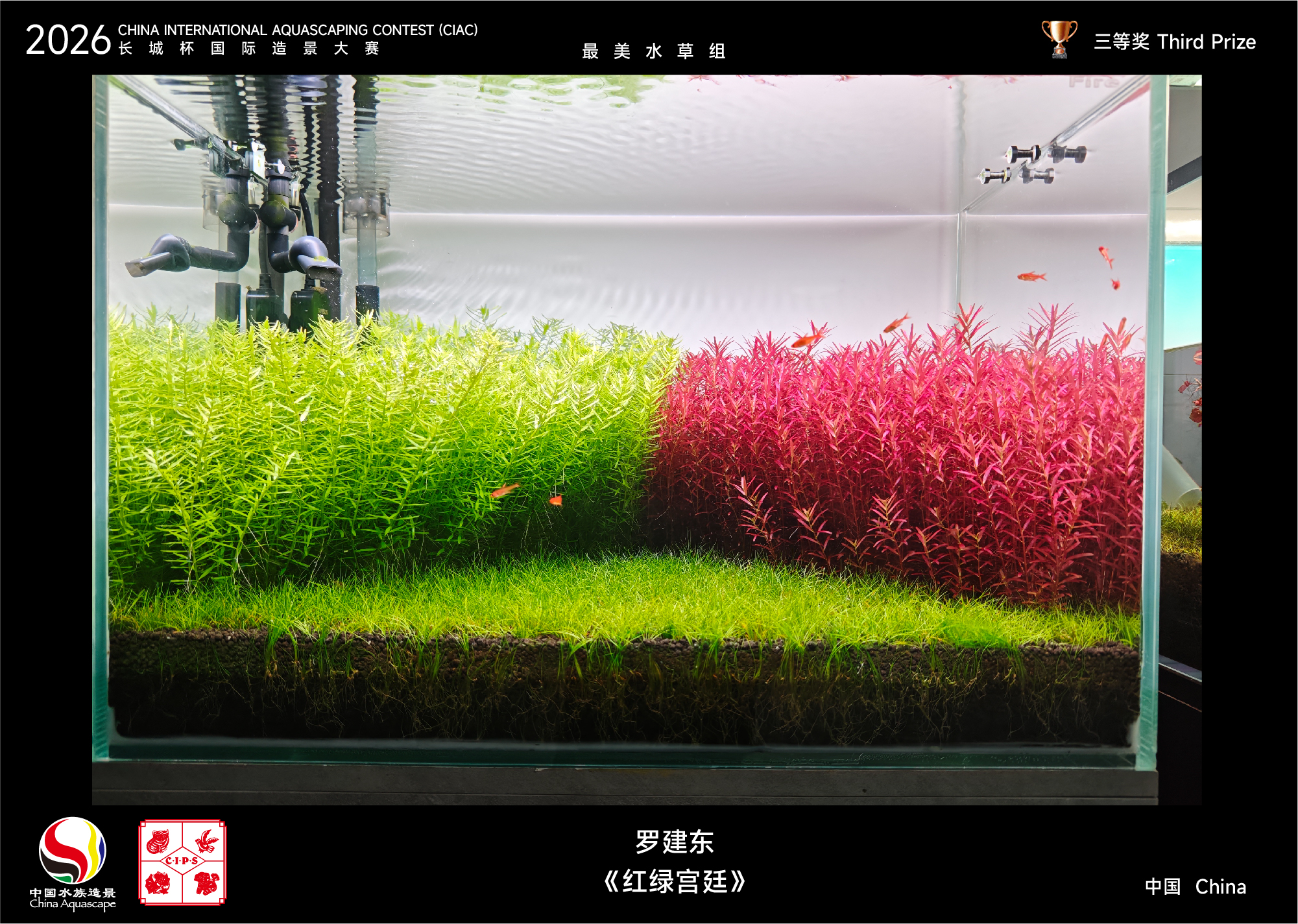 最美水草-06.jpg