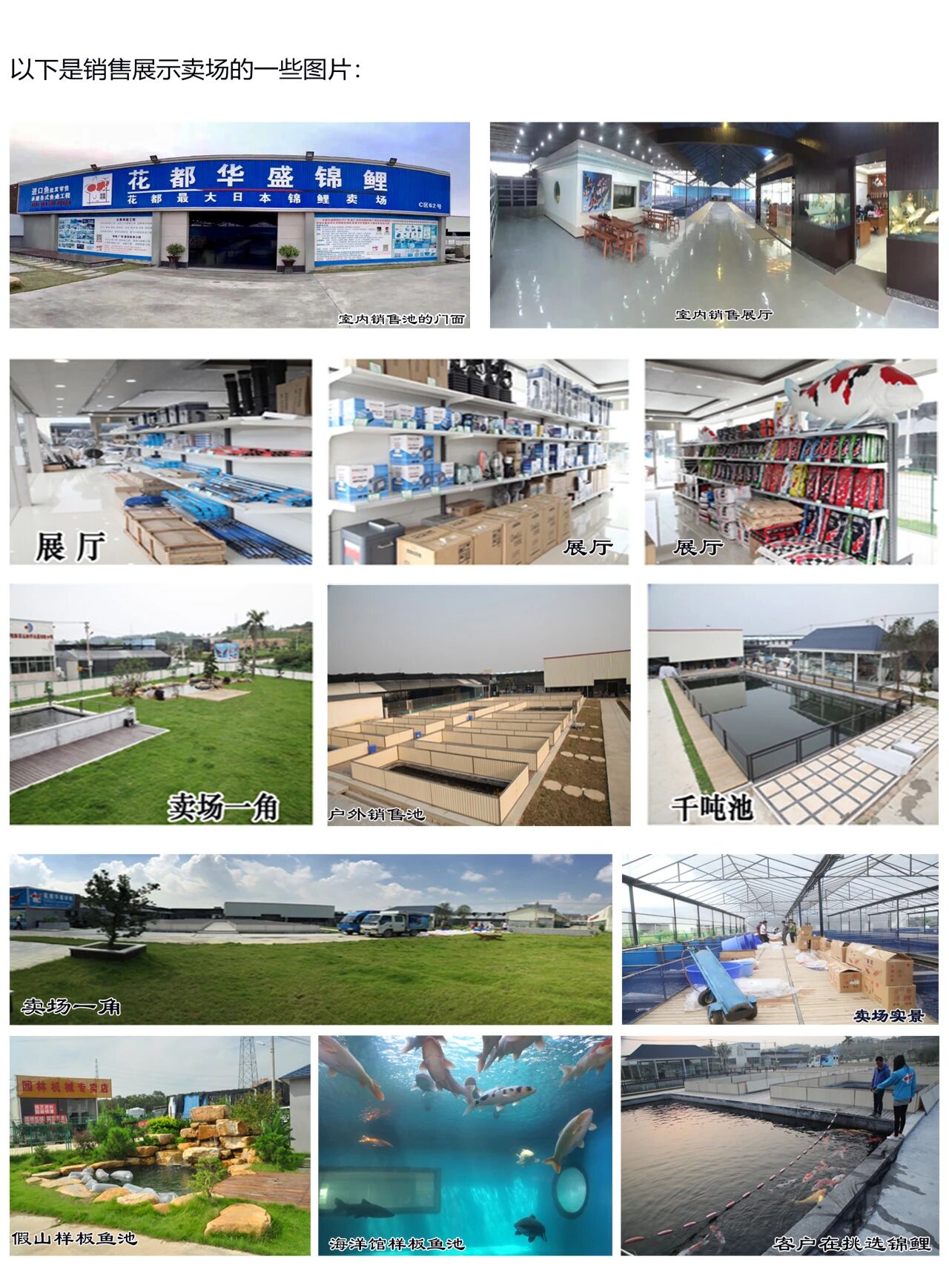 d75d3293fdc1c5fd4908328ef57677f3.jpg d75d3293fdc1c5fd4908328ef57677f3.jpg