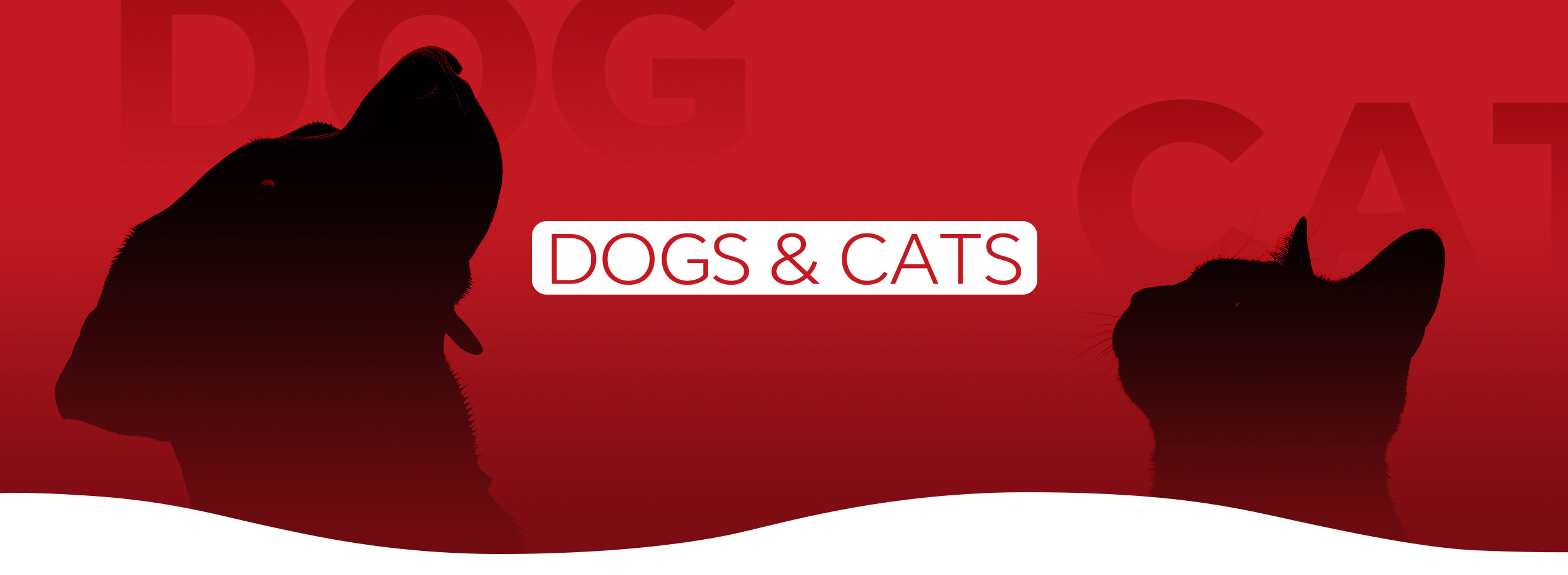 DOGS & CATS