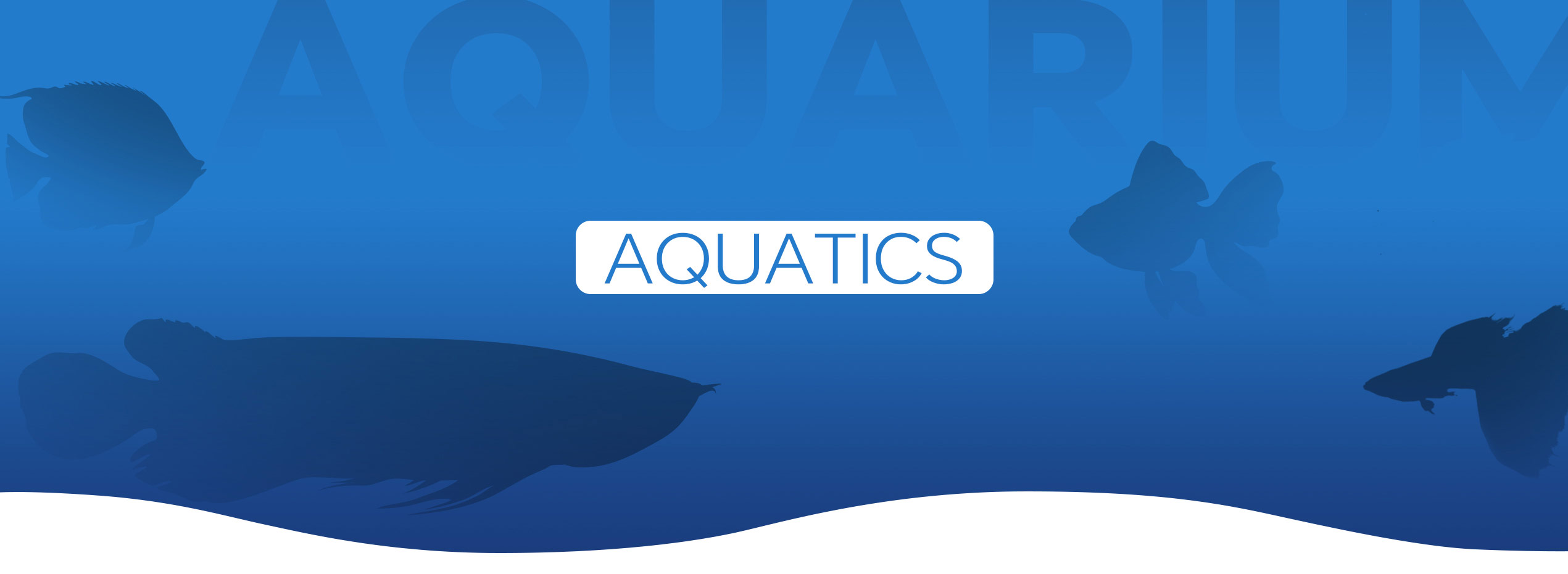 Aquarium Contest