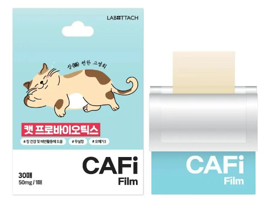 CAFI FILM.jpg