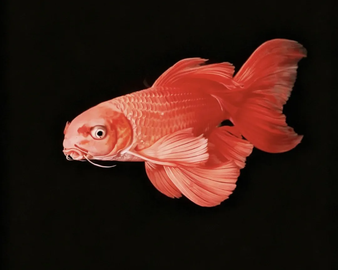 6671061d9bcc0aa81d76d46ca217831b_11141009ufeg.png