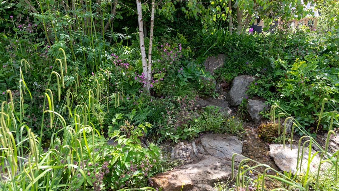 Chelsea_Woodland_Trust_1088x612_3.jpg