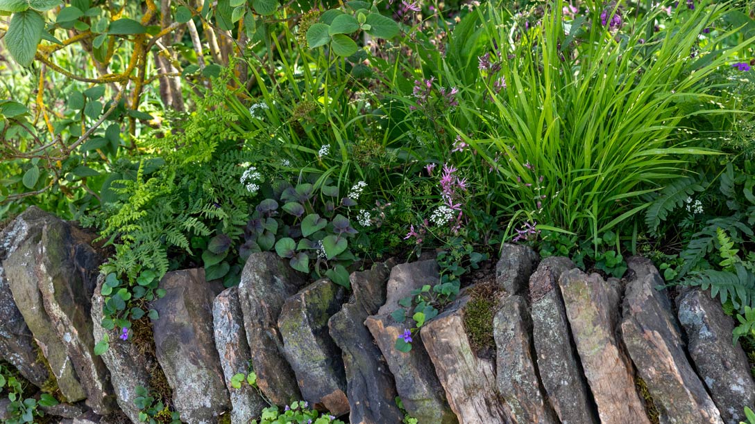Chelsea_Woodland_Trust_1088x612_4.jpg