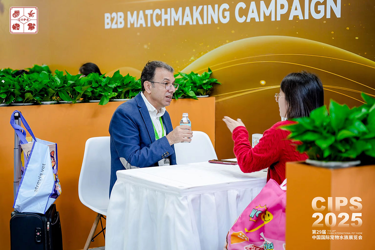 CIPS B2B贸易对接现场 3